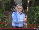 Bill Gates ALS Bucket Challenge