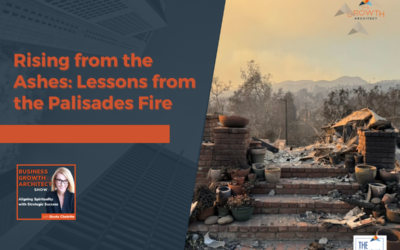 Rising from the Ashes: Lessons from the Palisades Fire